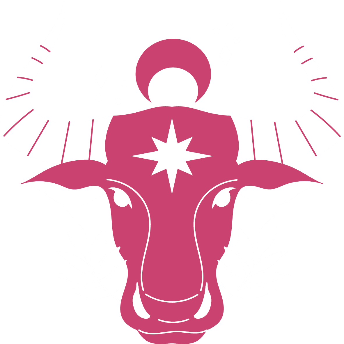 Horoscope Taureau du 2026 - Taureau