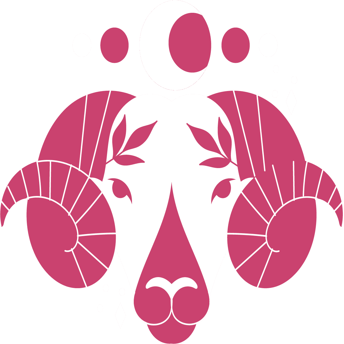 Horoscope Belier du 2026 - Belier